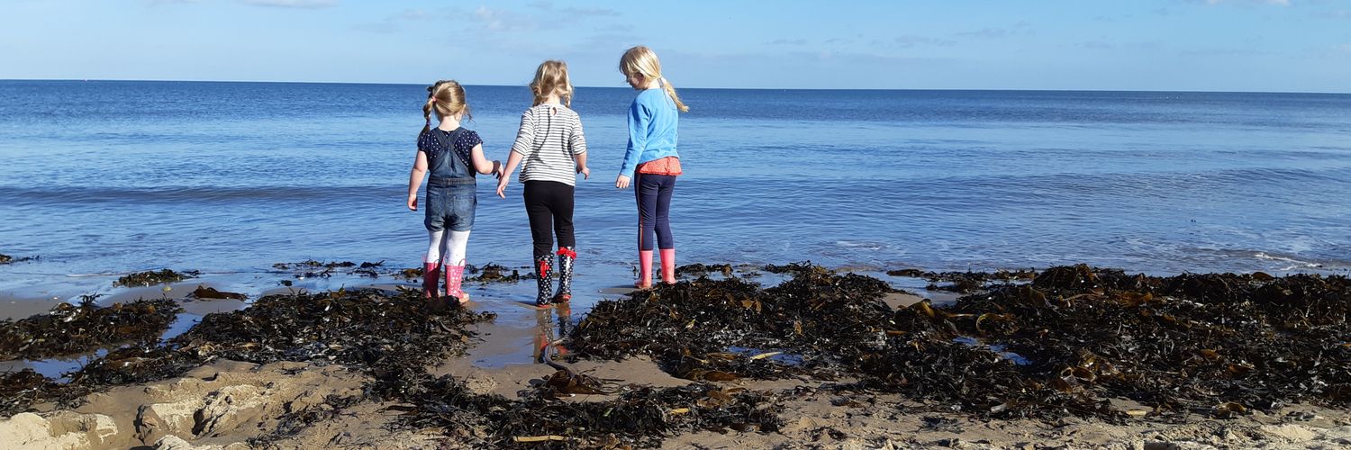 Sarah Wakefield banner