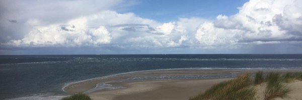 WubbyL Profile Banner