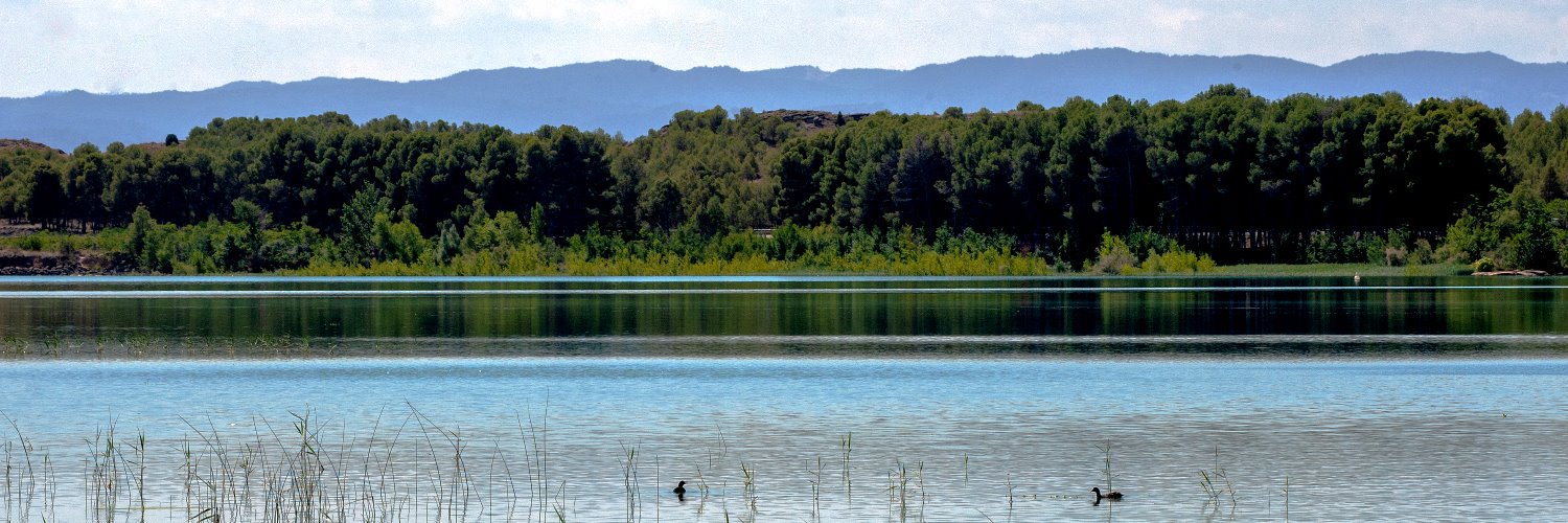 Brian Peacock banner