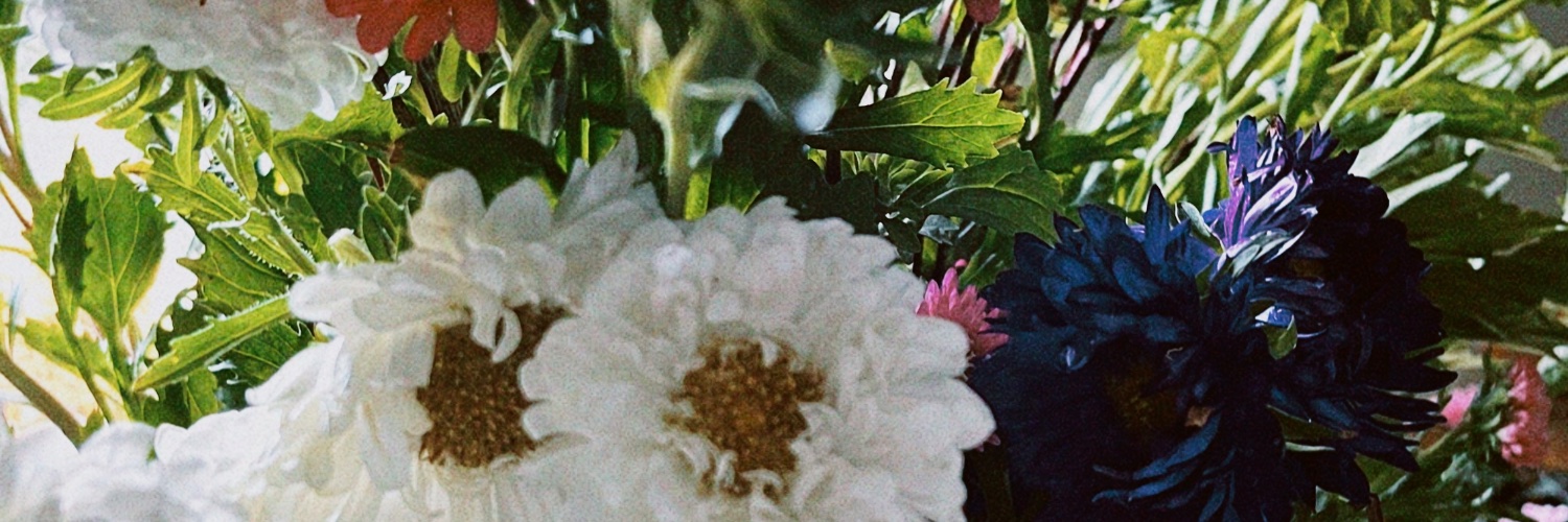 mrsaa_'s profile banner image