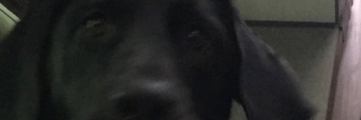 shawnm116's profile banner image