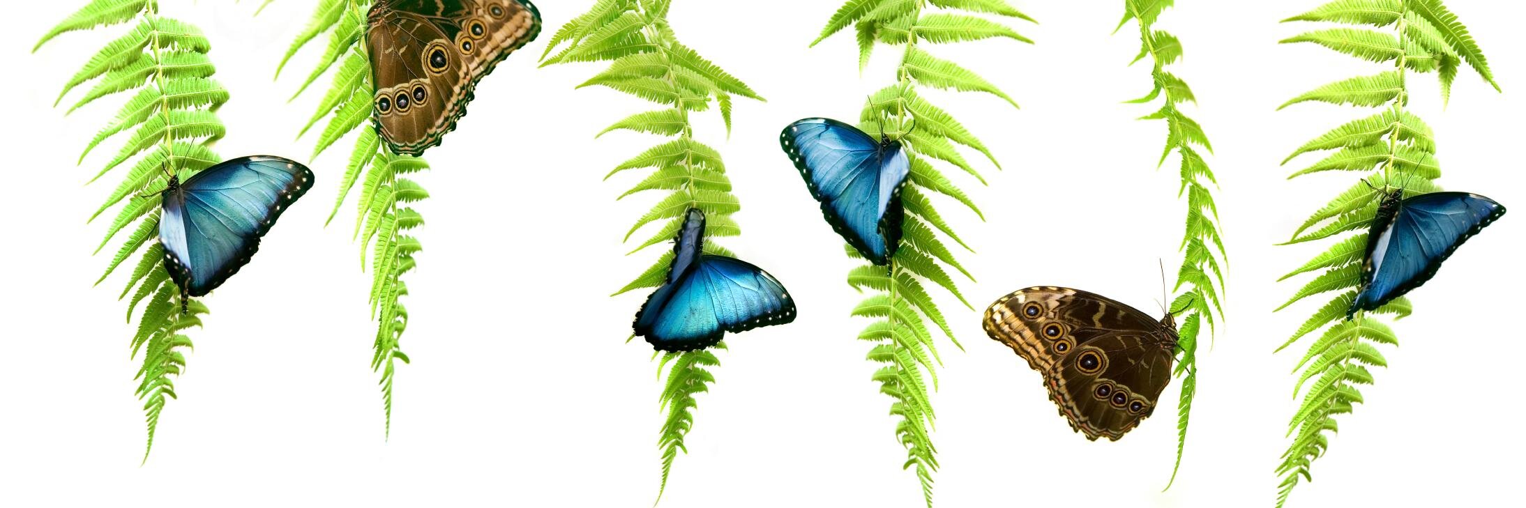 AprilBurrows's profile banner image