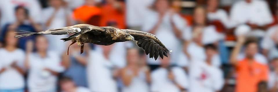 WarEagle's profile banner image