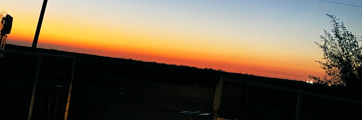 bellaorte's profile banner image