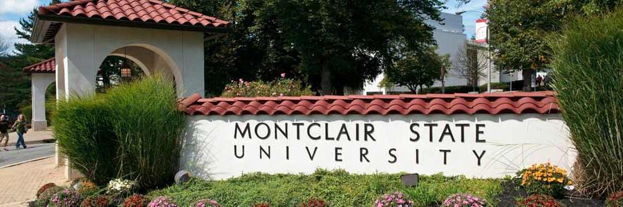LiveLitMSU's profile banner image