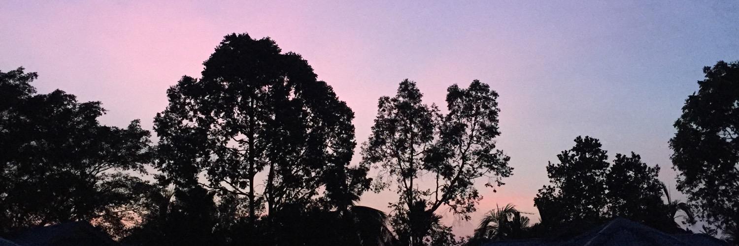 limyhui's profile banner image