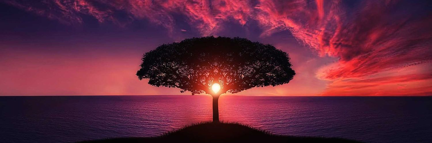 JAYBANS | ETHGas ⛽ banner