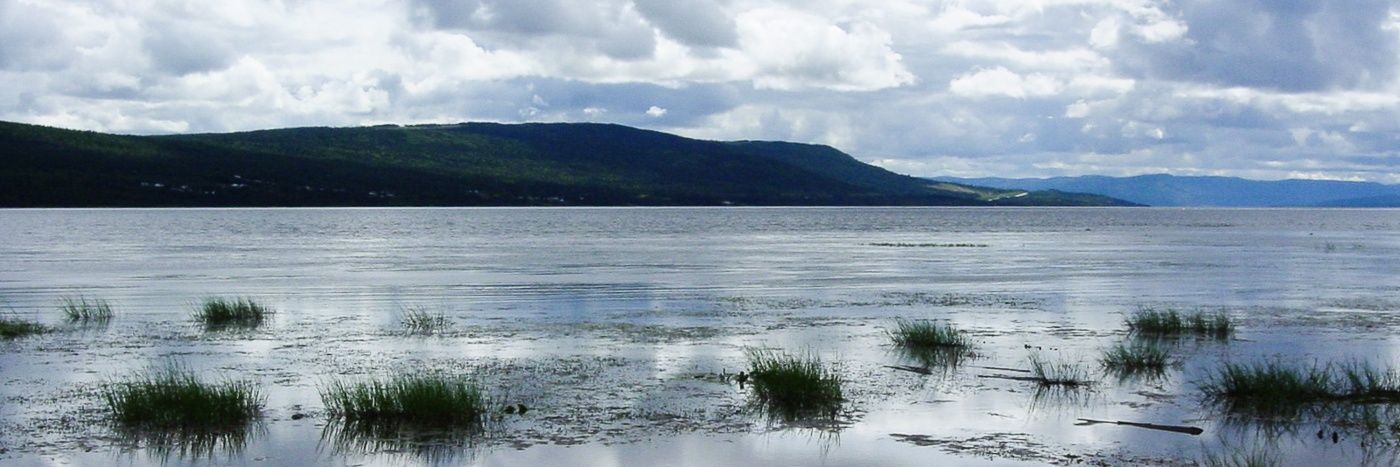 Chris Gillespie banner