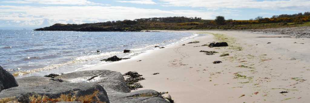 AlisonScott2306's profile banner image