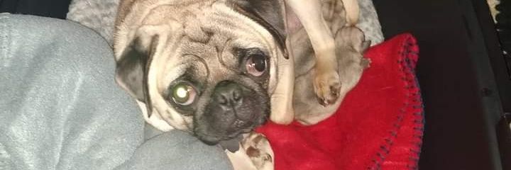 Nunya Business banner