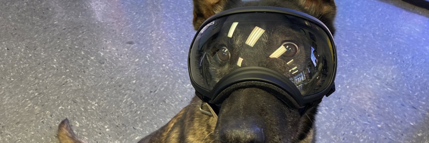 Andrew Ellison banner