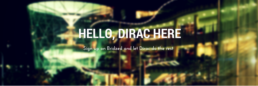 bridzed's profile banner image