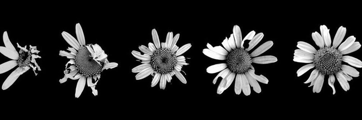 bjazmiranda's profile banner image