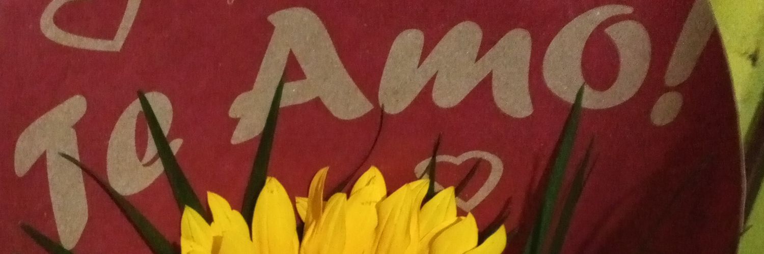 vehui's profile banner image