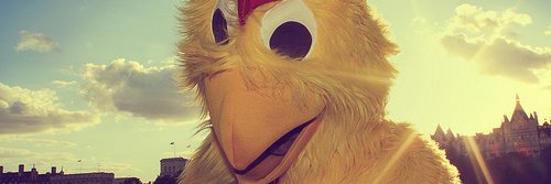 KarmasStorm's profile banner image