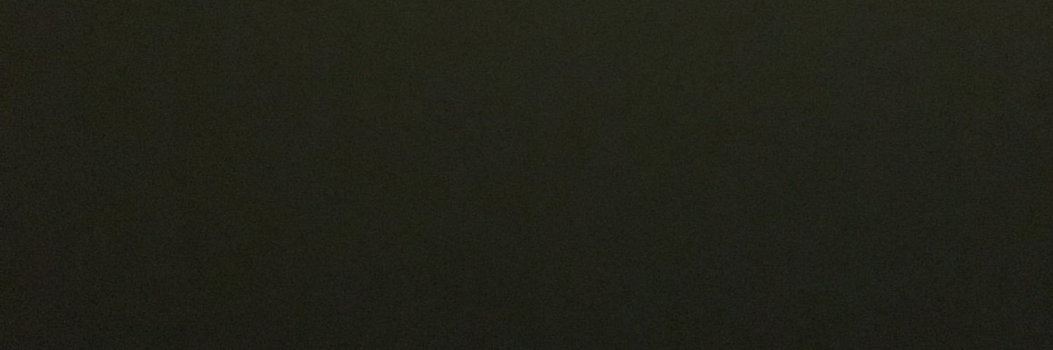 CarlotaV21's profile banner image