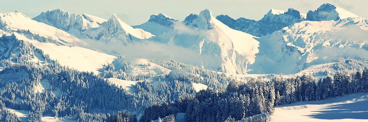 SpringerF8's profile banner image
