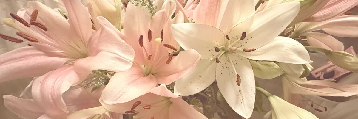 nsoucorna's profile banner image