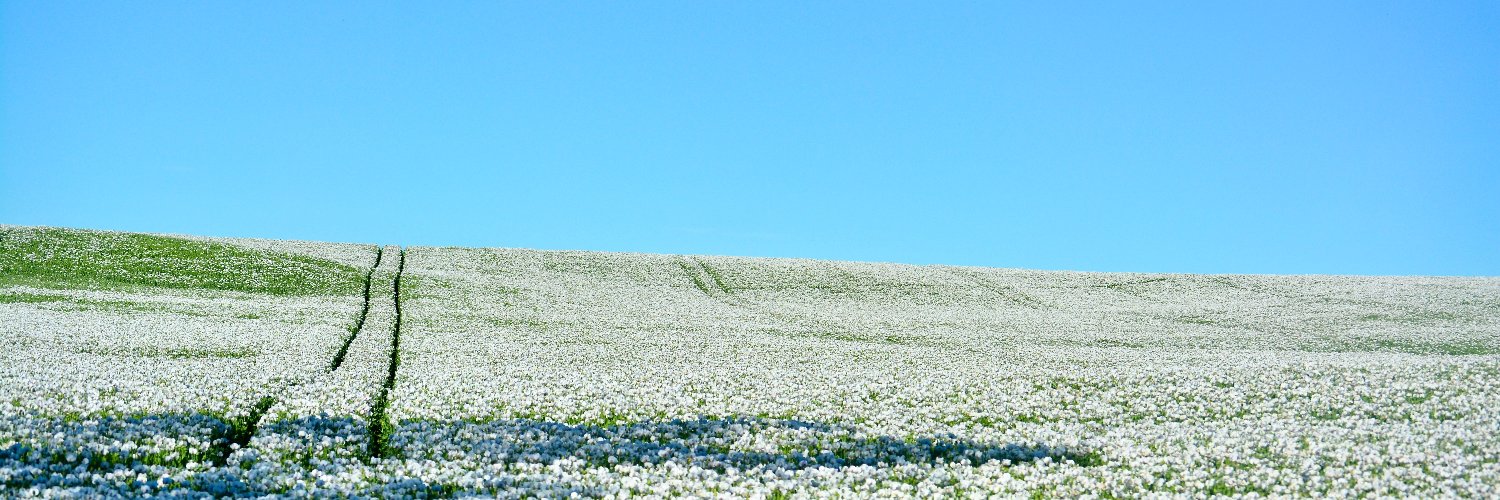 timkral's profile banner image