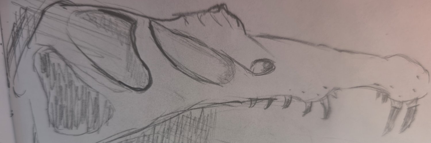 midnightmatric's profile banner image