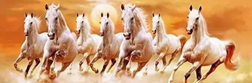 persona non grata banner