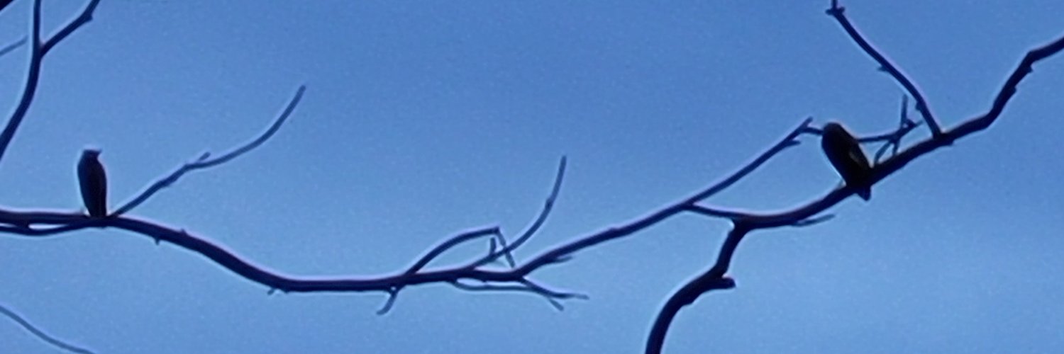 mihir_mohan's profile banner image