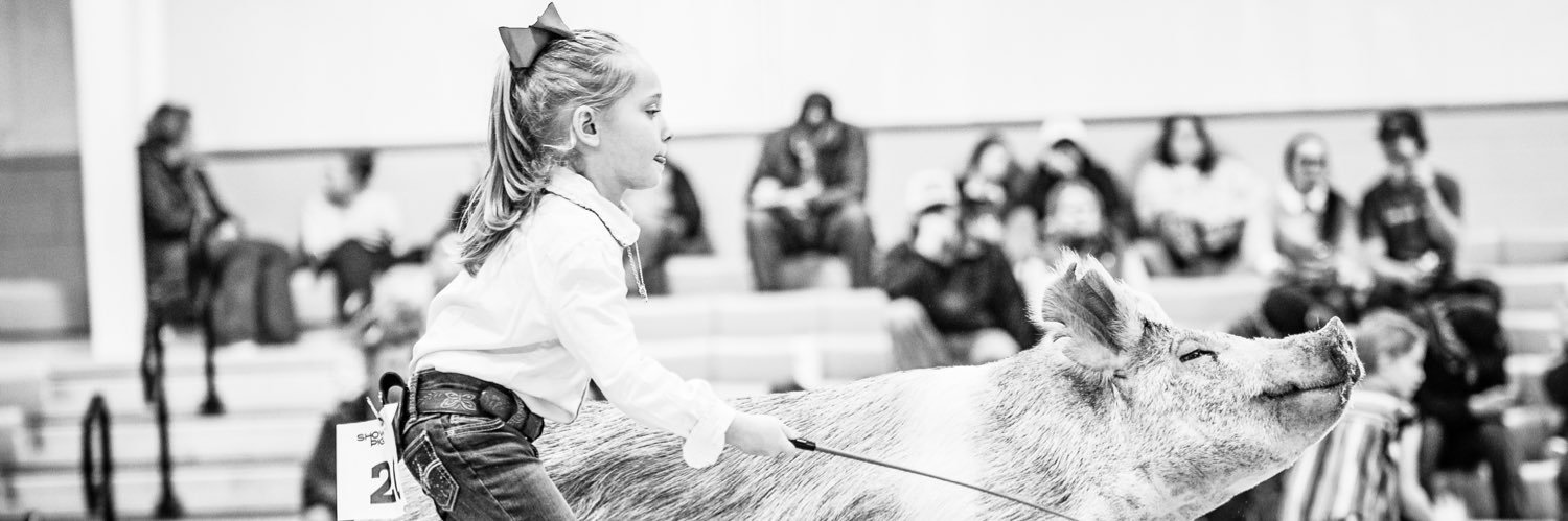 chloe_yoder's profile banner image