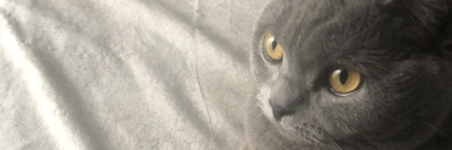 Hicatsan's profile banner image