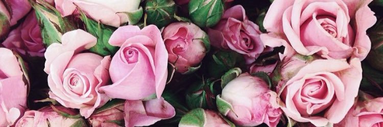 ashleemercer_'s profile banner image
