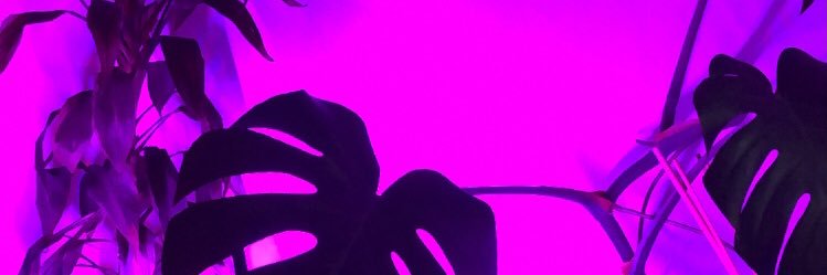 vania_ibarra's profile banner image
