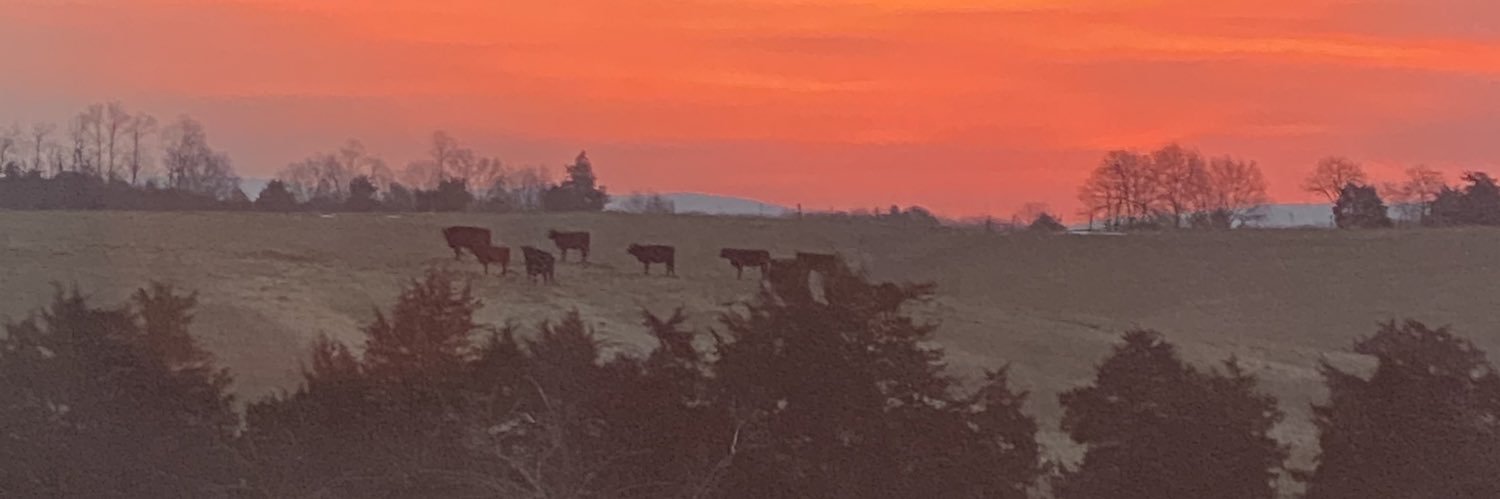 m1aga1's profile banner image