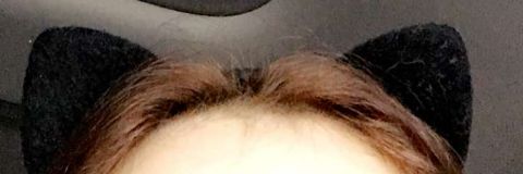 davidfernandz97's profile banner image
