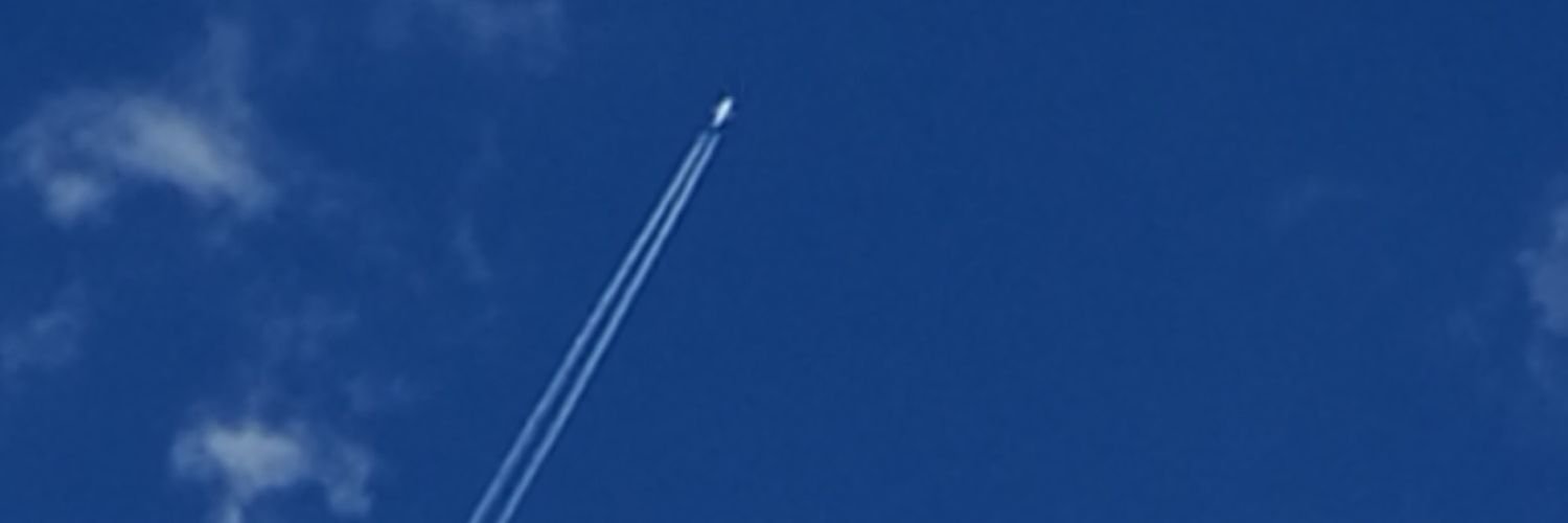 dsaraviaa's profile banner image