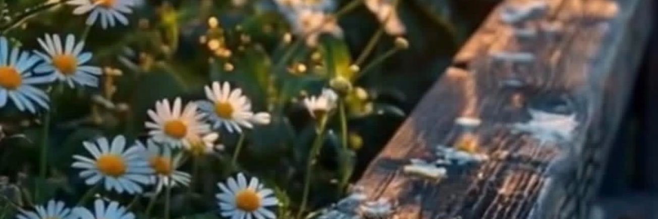 A_Mahathay's profile banner image