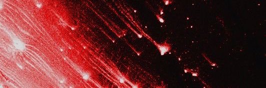 wanderermaroon's profile banner image
