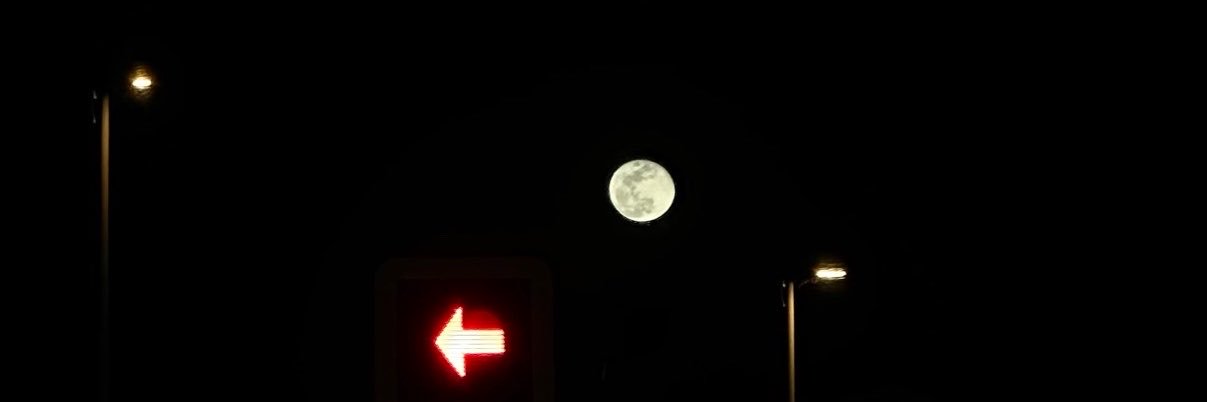 norasspot's profile banner image
