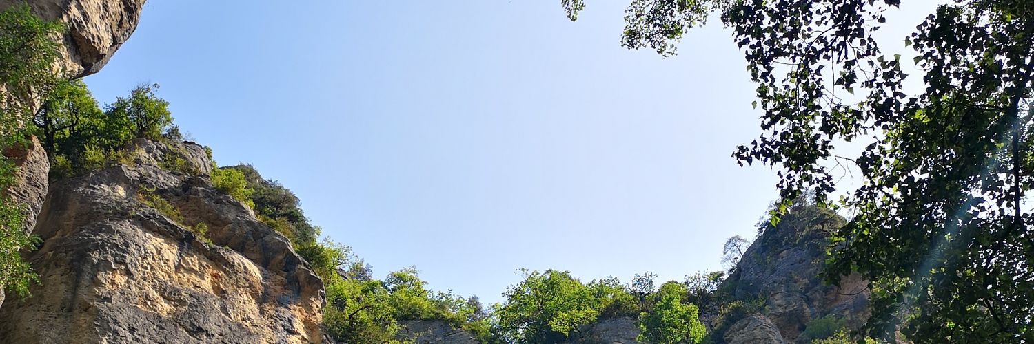 rominouu's profile banner image