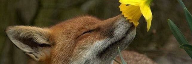 CathrynRhys's profile banner image