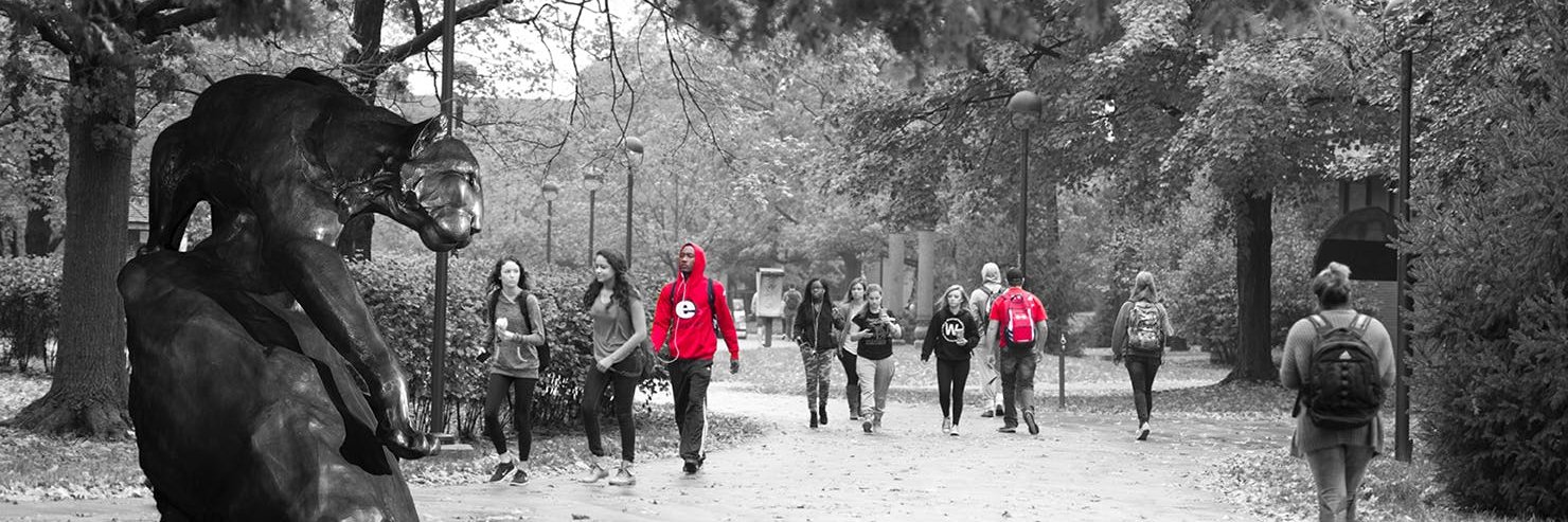 SIUe_STAT's profile banner image