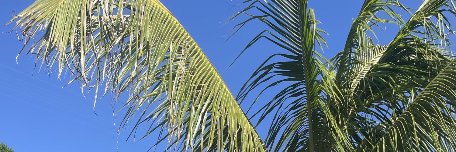 _macorreaa's profile banner image