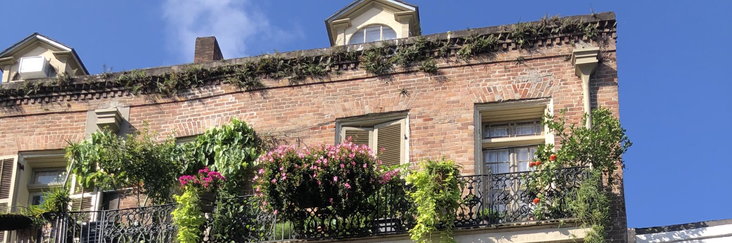 swamp surfing banner