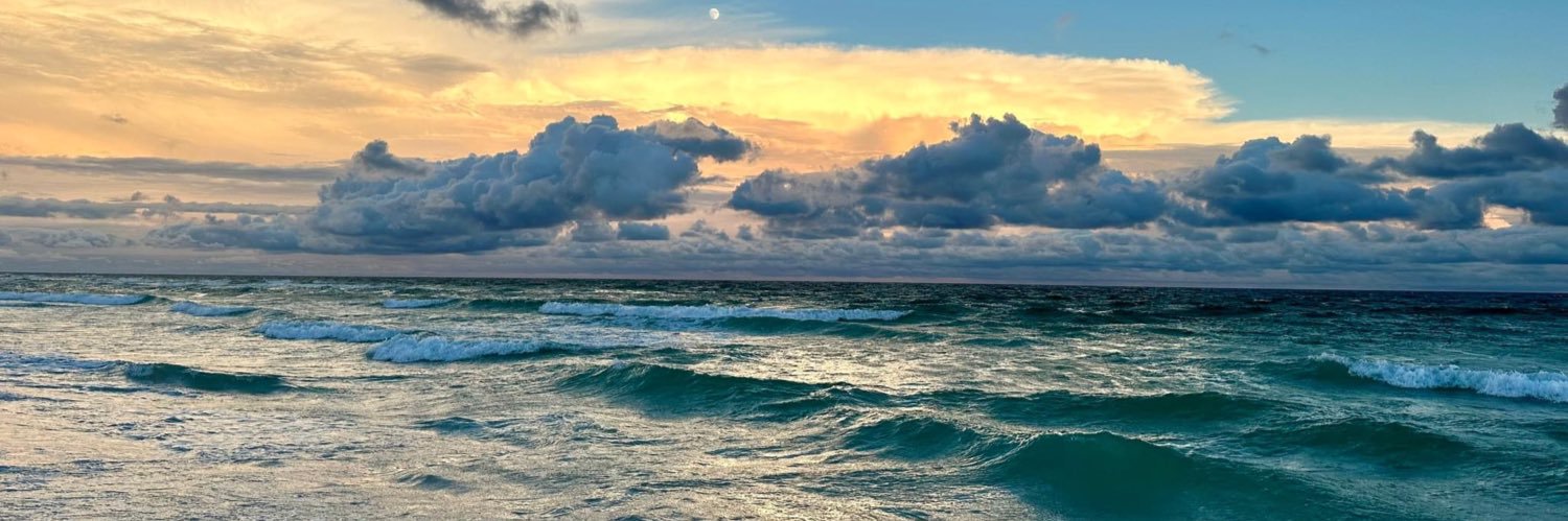 Jamie Patterson banner