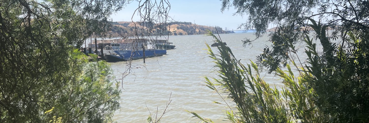 Gayathri (Modi and Annamalai supporter) banner