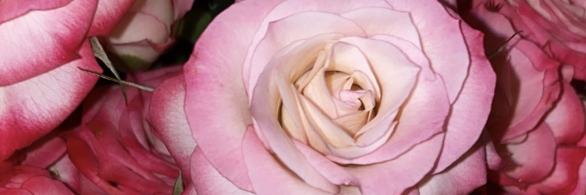 JadeLiddiard18's profile banner image