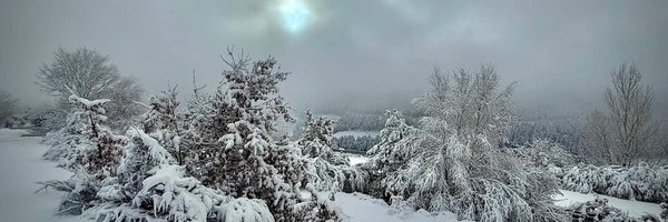 Justamemoito Profile Banner