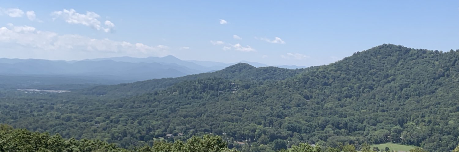 Theresa Nolan banner