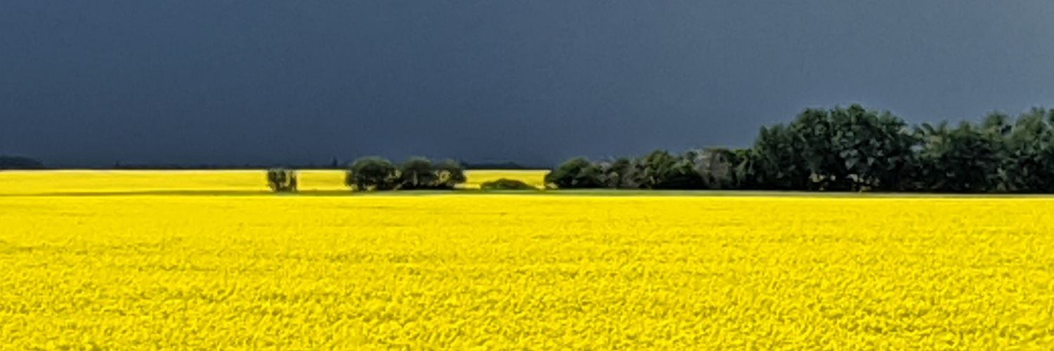 Cheesewizzard's profile banner image
