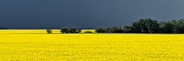 Cheesewizzard Profile Banner
