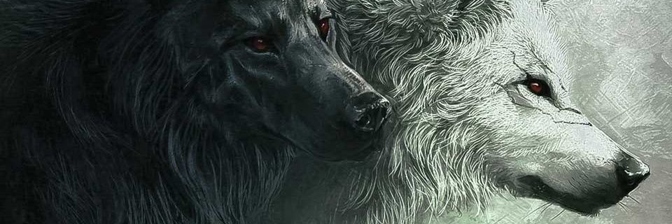 mikey_tweets's profile banner image