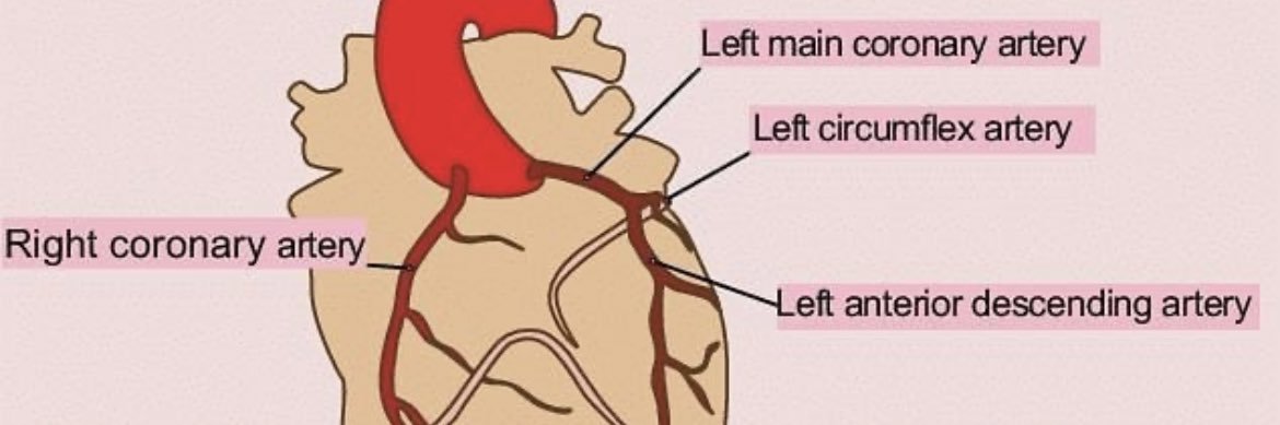 Kyle Fischer, PharmD, BCCP, MBA banner